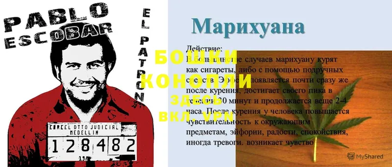 Бошки марихуана ГИДРОПОН  Буинск 